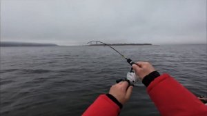 рыбалка с лодки в отвес на судака
