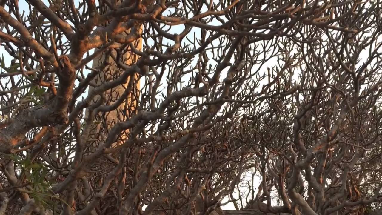 Аквазимовка во Вьетнаме: один день без ветра смотреть онлайн