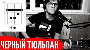Розенбаум - Черный тюльпан (аккорды) стандартный строй