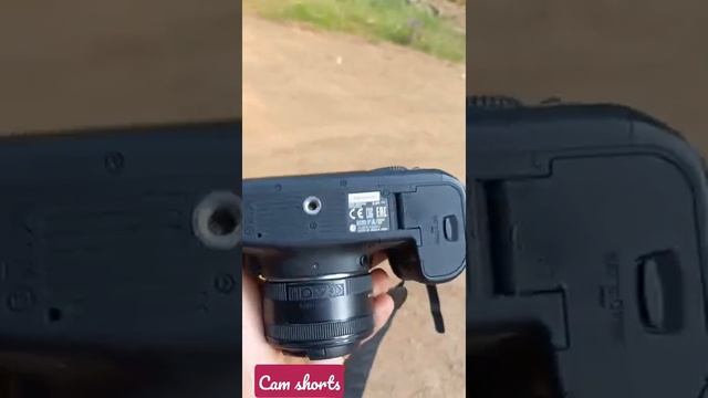 Canon Eos 6d with 50mm lens смотреть онлайн