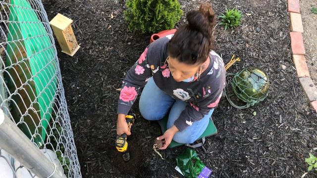 Garden Vlog 6 : Planting a Clematis With A Drill?! 🌸👷🏽🌸 смотреть онлайн