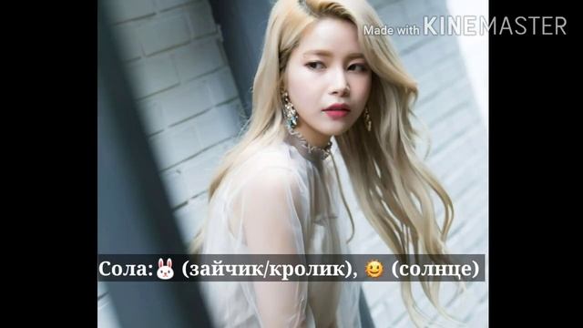 Знакомство с MAMAMOO (биография группы, учимся различать участниц)
