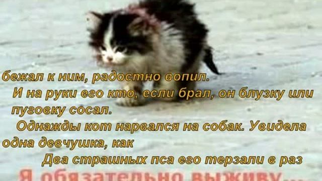 В одном дворе уже который год смотреть онлайн