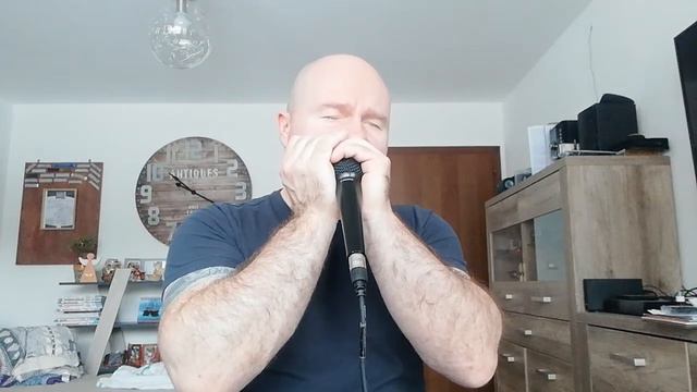 Mother Before This Time Another Year - Blues Harmonica смотреть онлайн
