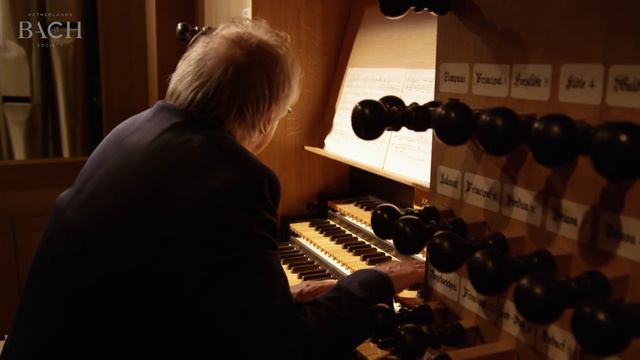Bach - Concerto in D minor BWV 596 - Van Doeselaar | Netherlands Bach Society смотреть онлайн