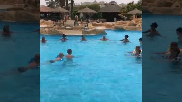 Lotus # bay # Resort safaga # red sea 🌊 5.6.23.🇪🇬💯🏝💜❤️ смотреть онлайн