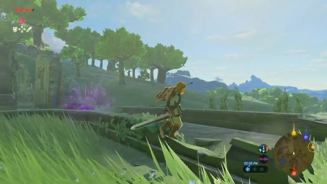 FLURRY RUSH in The Legend of Zelda: Breath of the Wild - PERFECT DODGE Tutorial смотреть онлайн