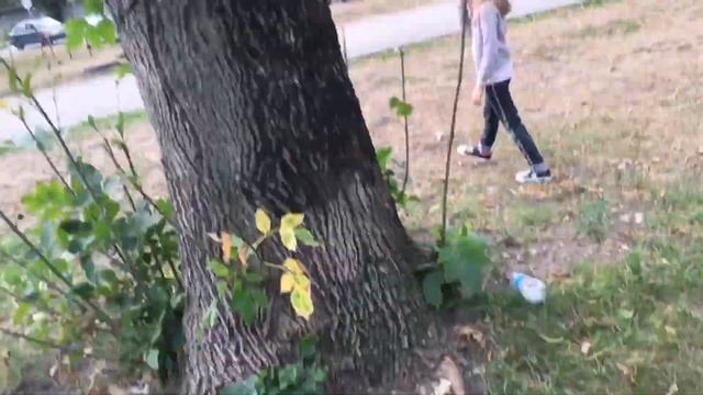 ? Встретили белку в городе/ парк Металлургов смотреть онлайн