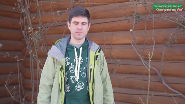 Плетистая роза обрезка весной. Как обрезать плетистую розу? Уход после зимы смотреть онлайн