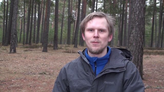 # Группа в Контакте смотреть онлайн