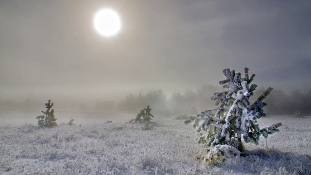 Алексей Мандельштам - Стать севера (Жизнь на севере)