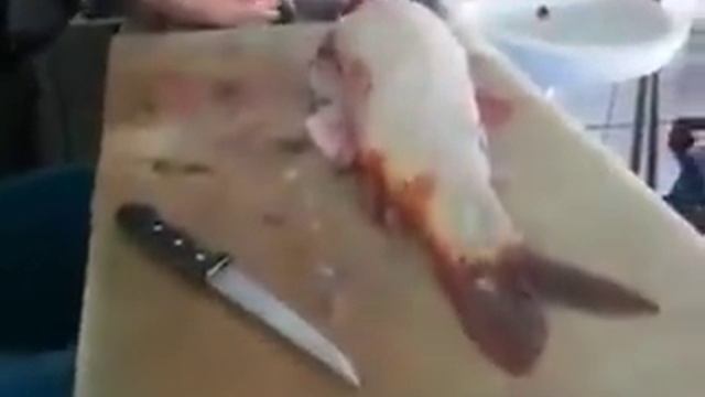 Как быстро разделать сазана смотреть онлайн