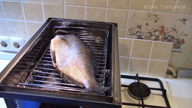 Цирковые Представления и Шоу