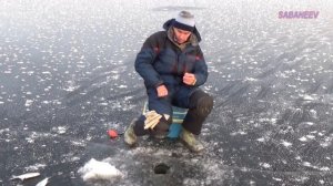 Серия 2. Истринский подлещик. Уловистая рыбалка с Евгением Середой.