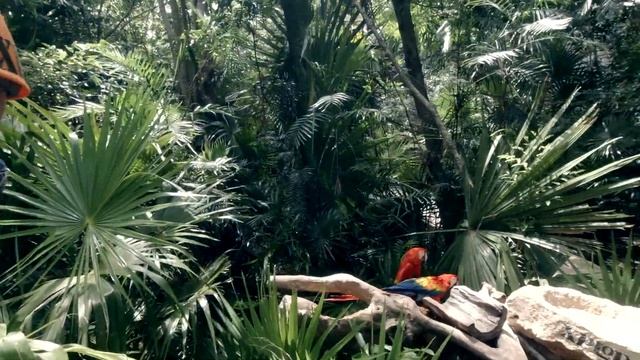 Is Xplor the BEST adventure park in Cancun & Riviera Maya? ?? смотреть онлайн