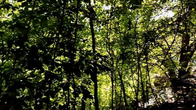 ОБЗОР УЧАСТКА С ДОМОМ. НАЧАЛИСЬ СЮРПРИЗЫ смотреть онлайн