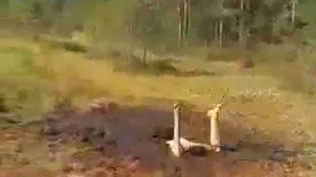 Mongo смотреть онлайн