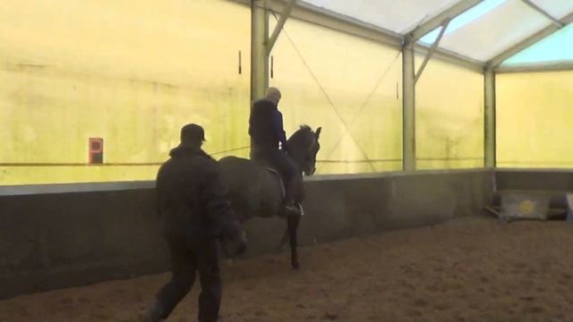 Арина. Пассаж - пиаффе. Выездка. Конный спорт. смотреть онлайн