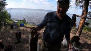 Рыбалка на реке Свирь. Ивинские разливы ?