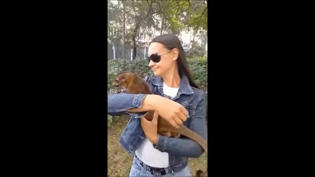 Кинкажу как выглядит животное./I'll show you what the animal looks like. смотреть онлайн