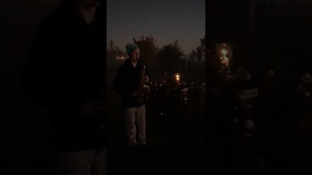 25 April 2020 смотреть онлайн