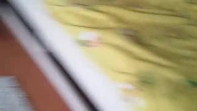 Учим цифры и животных. 2 года смотреть онлайн