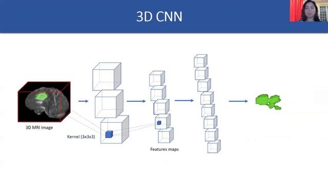3D Automatic Brain Tumor Segmentation Using a Multiscale Input U-Net Network смотреть онлайн