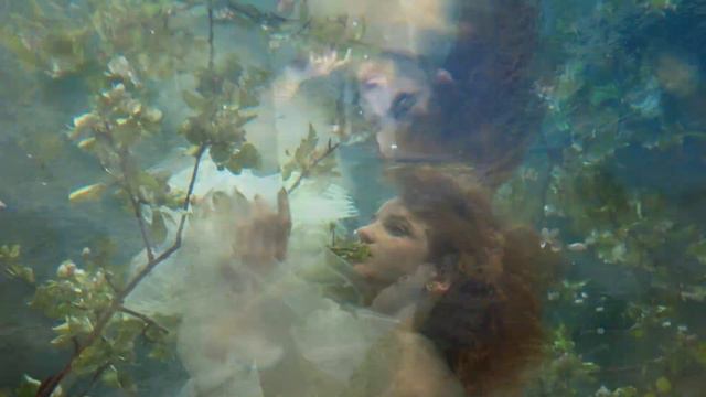 Burt Bacharach Medley - Carl Doy смотреть онлайн