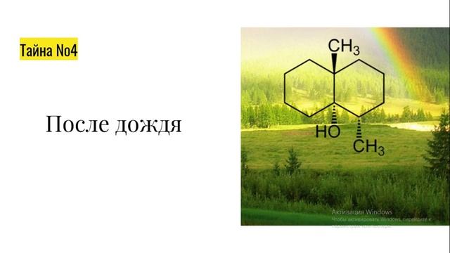 Тайны органической химии. Химия 10 класс смотреть онлайн