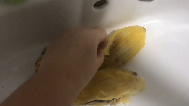 Сажаем семечку манго смотреть онлайн