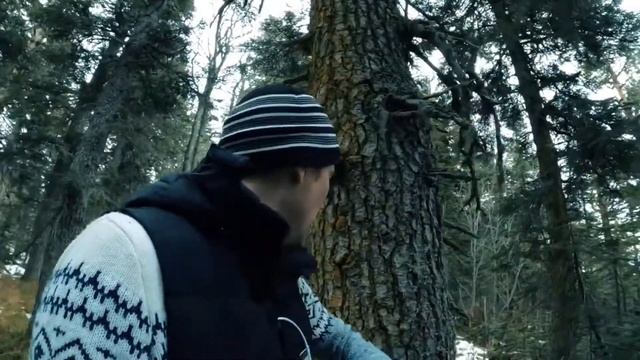 ПСИ ВОЗДЕЙСТВИЕ ПРИШЕЛЬЦЕВ НА РЕБЯТ ! КАТЮ ЗОМБАНУЛИ ! АЛЕКСА ВЫРУБИЛИ ! МИТЯЯ ОКРУЖИЛИ ! ЖЕСТЬ ! смотреть онлайн