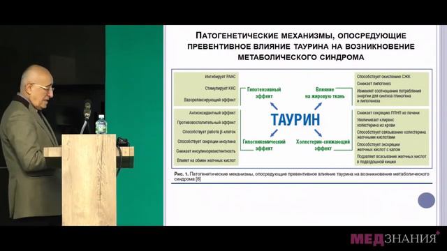 Профилактика жировой болезни печени – роль таурина смотреть онлайн