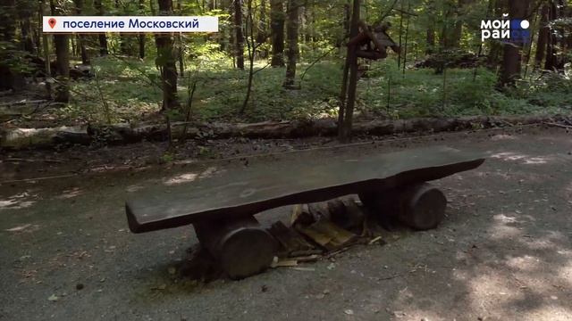 Прогулка по району: поселение Московский с Маргаритой Демшиной смотреть онлайн
