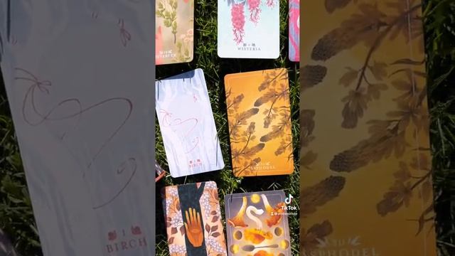 Unique Underrated Oracle Decks: seed & Sickle unboxing & reading смотреть онлайн