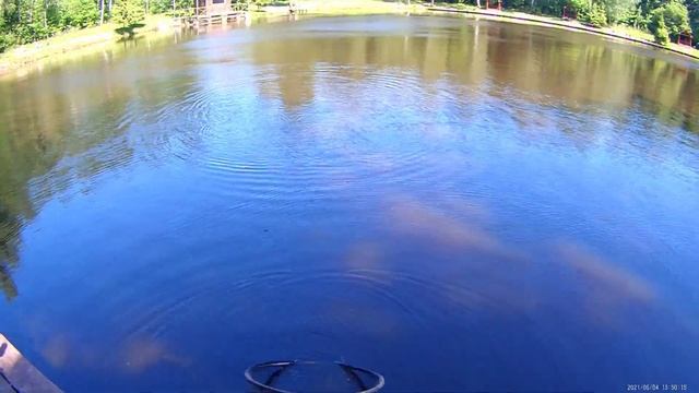 Рыбалка в Клёвом месте. Наша лотерея. #решисьивоплощай смотреть онлайн