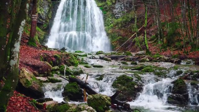 Нежная красивая музыка.Успокаивает нервную систему и радует душу