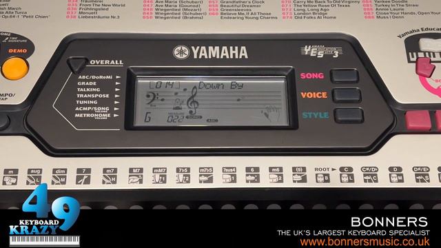 172. Yamaha EZ-20 100 Songs (001~033) смотреть онлайн