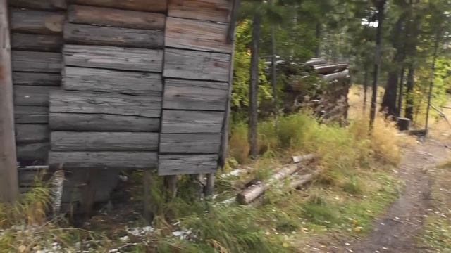 Утро на зимовье смотреть онлайн