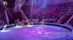 Цирковое шоу "Клоун" к 100 летию Юрия Никулина! | Омский государственный цирк