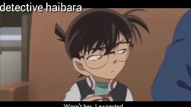 Detective conan crack 2