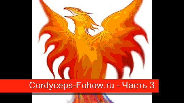 Кордицепс Fohow лекция 2 - Часть 3 / 4 смотреть онлайн
