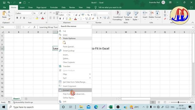 Wrap text and shrink to fit in Excel | Excel tutorial | In Bengali | 06 смотреть онлайн