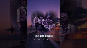 Песни Стрей кидс с летним вайбом?/ Songs of stray kids with a summer vibe?