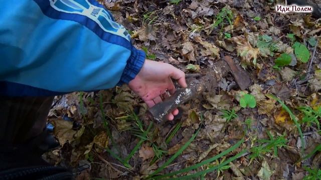 Поиск в лесу. Лесные дороги с АКА Сорекс 7281 ПРО смотреть онлайн