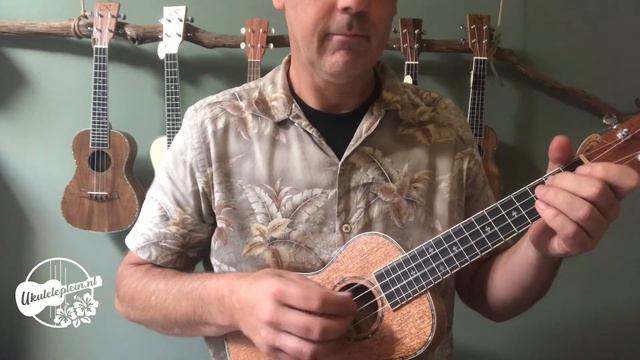 kauai solid mahogany ukulele concert смотреть онлайн