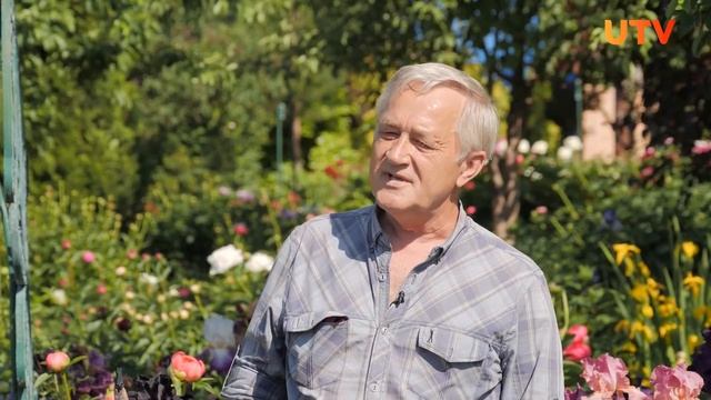 Выращиваем ирисы смотреть онлайн