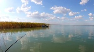 КАРПЫ ОЗЕРА ТОКСОР, РЫБАЛКА С ЛОДОК В КАМЫШАХ НА ЛЕТНИЕ УДОЧКИ! РЫБАЛКА В КАЗАХСТАНЕ!