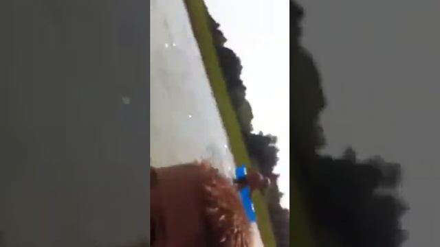 Шацьк озеро Світязь. Глибина , окуні і хвилі 🏊🚣🌊🐠 смотреть онлайн