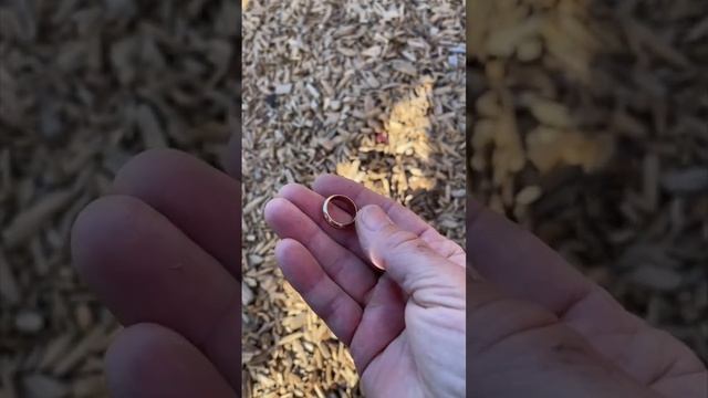 Cool Find Using the Nokta Simplex Metal Detector смотреть онлайн