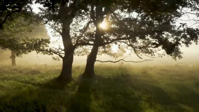 История на ночь. ДАЧА. Даниил Азаров. Страшные истории. Истории про деревню. История из жизни смотреть онлайн